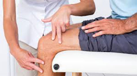 Knee
