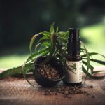 cbd öl, cbd spray, cbd, cbd, cbd, cbd, cbd, cbd